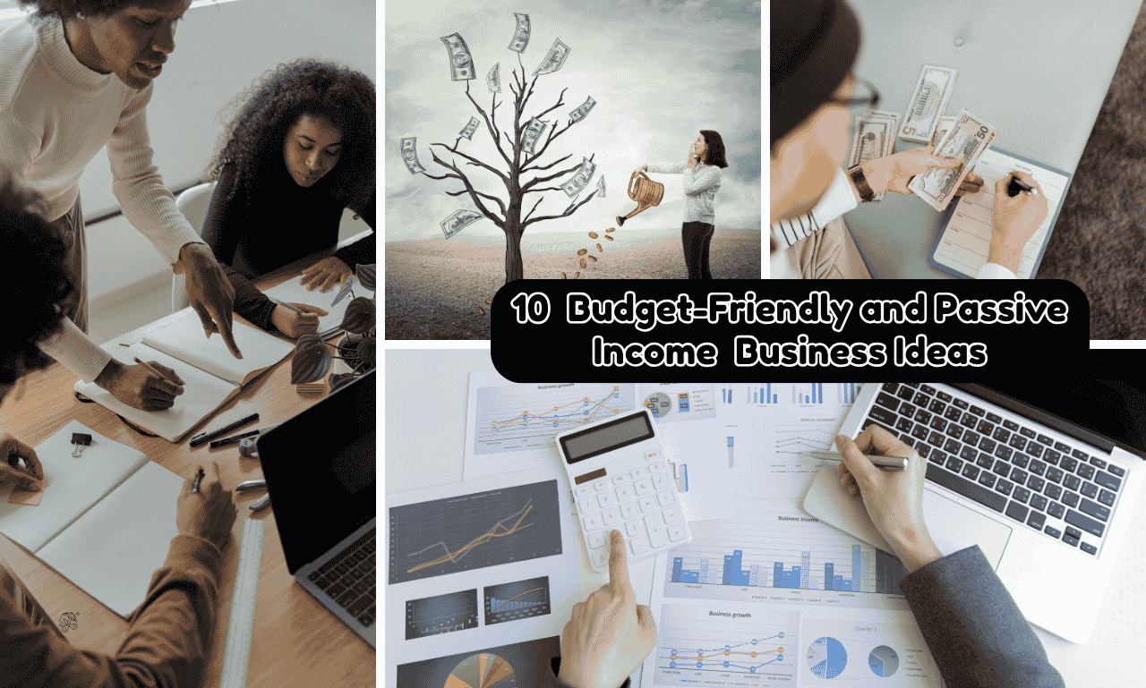 10  Budget-Friendly and Passive Income  Business Ideas